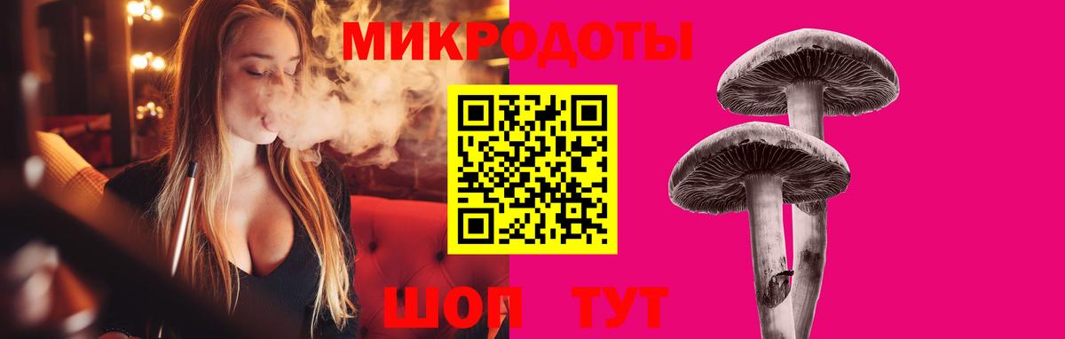 Галлюциногенные грибы Psilocybine cubensis Коряжма